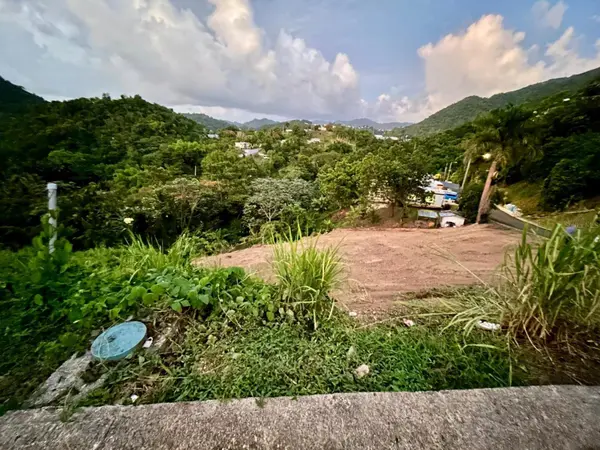 164 St. km 4.4 BO. NUEVO, Naranjito, PR 00719