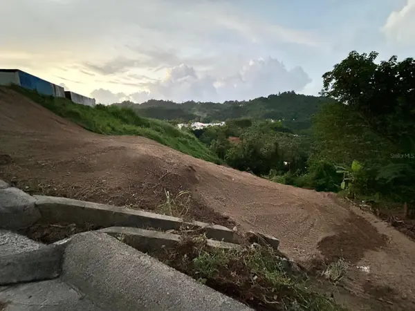 164 St. km 4.4 BO. NUEVO, Naranjito, PR 00719