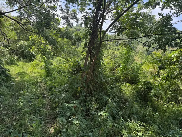 CARR 902 KM 10.1, Yabucoa, PR 00767
