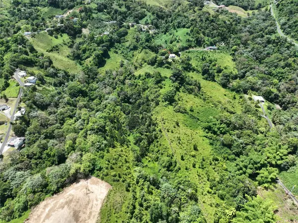 CARR 902 KM 10.1, Yabucoa, PR 00767