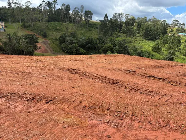 CARR 569 KM 2.7 INT BO. SABANA, Orocovis, PR 00720