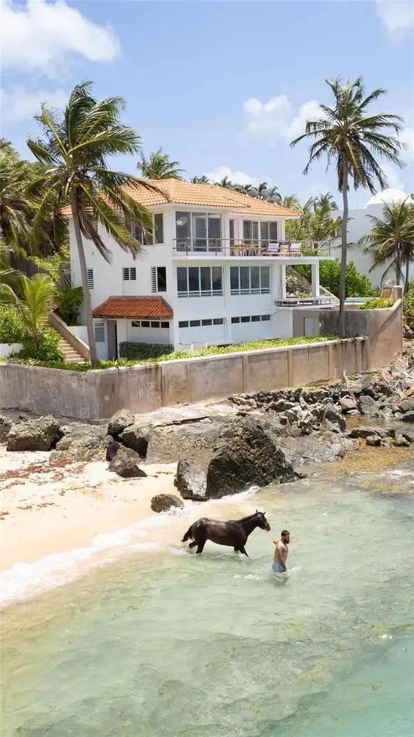 294 BRAVOS DE BOSTON, Vieques, PR 00765
