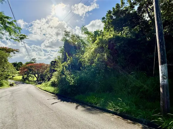Riverside Gated Community RIVERSIDE STREET, Guaynabo, PR 00971