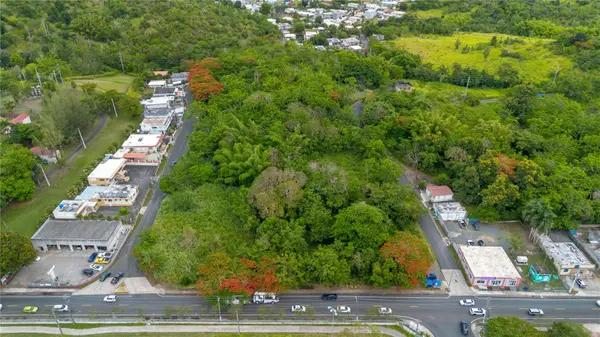 CARR 14 KM 71.2, Cayey, PR 00737