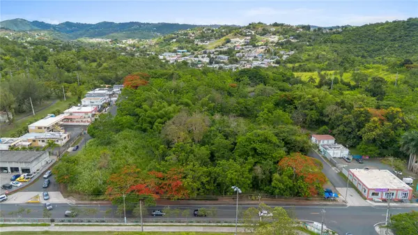 CARR 14 KM 71.2, Cayey, PR 00737