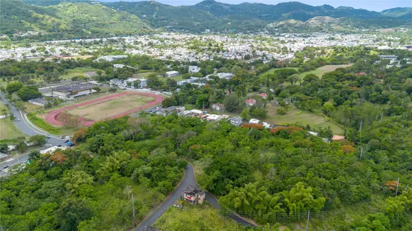 CARR 14 KM 71.2, Cayey, PR 00737