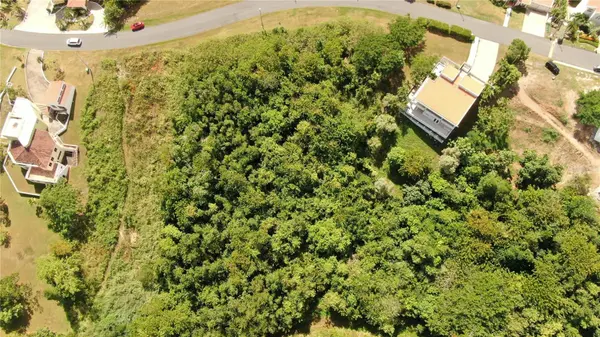 PORT ROAD RD #17, Humacao, PR 00791