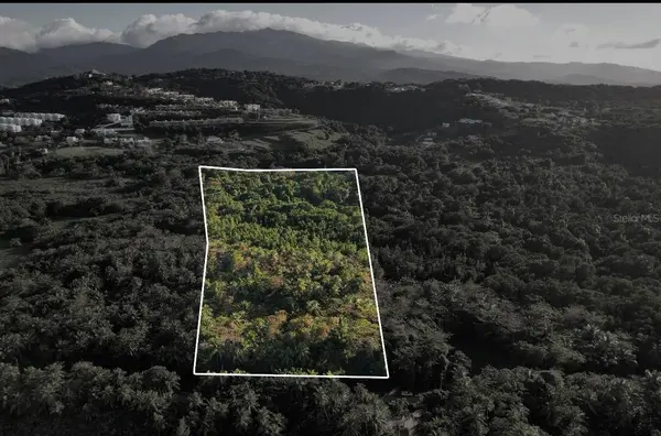 PR-968 KM 2.2 LAS PICUAS, Rio Grande, PR 00745