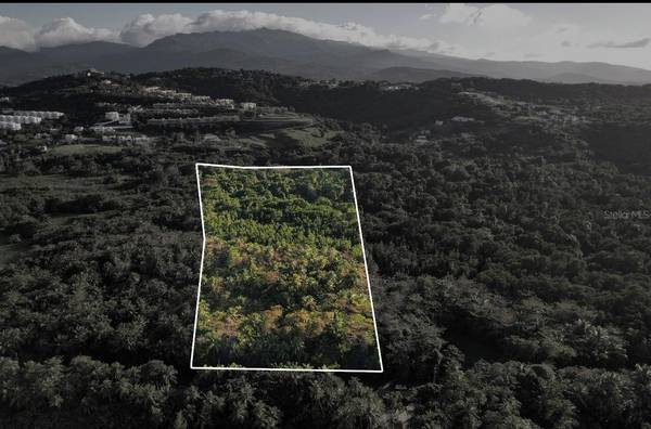 PR-968 KM 2.2 LAS PICUAS, Rio Grande, PR 00745