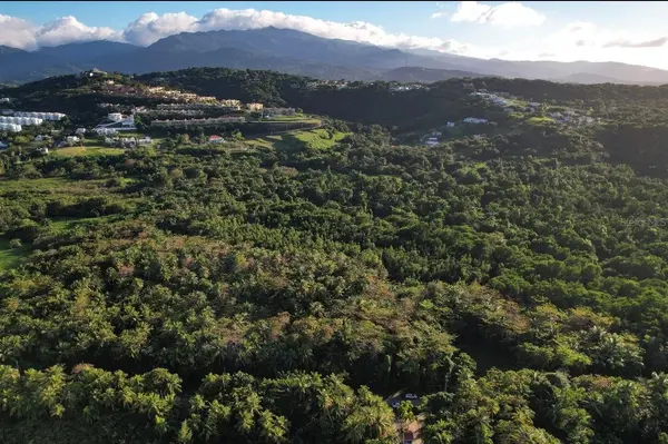 PR-968 KM 2.2 LAS PICUAS, Rio Grande, PR 00745