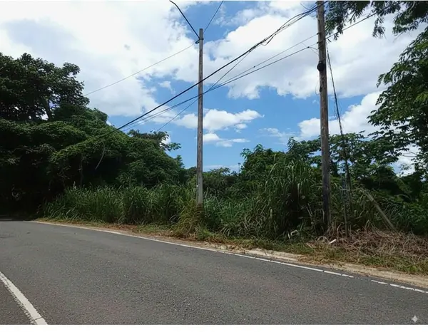 SR 108 KM 7.4 RIO CAÑAS WD #C-1, Anasco, PR 00610