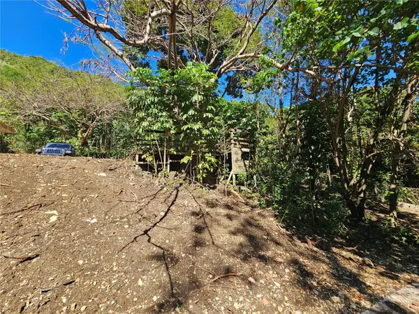 PR-159, Morovis, PR 00687