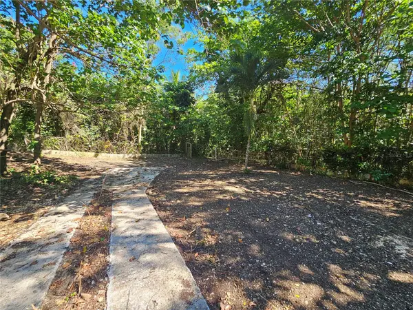 PR-159, Morovis, PR 00687