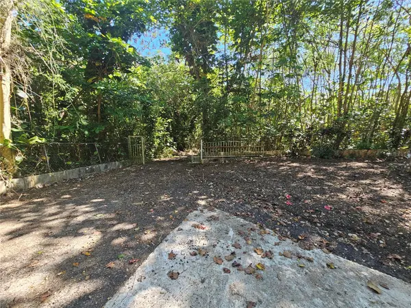 PR-159, Morovis, PR 00687