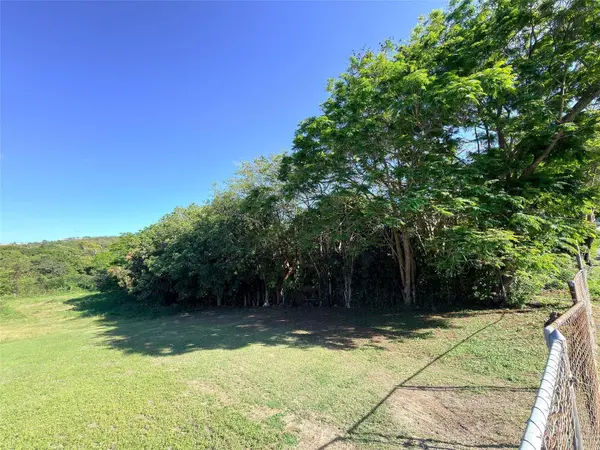 PR 38, Vieques, PR 00765