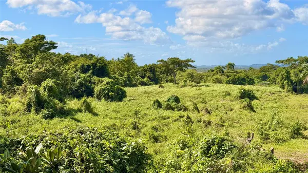 BO ZARAL SEC CAROLA, Rio Grande, PR 00721