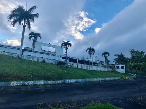 LOT 1 PR 174 KM 22.7 SONADORA WARD, Aguas Buenas, PR 00703