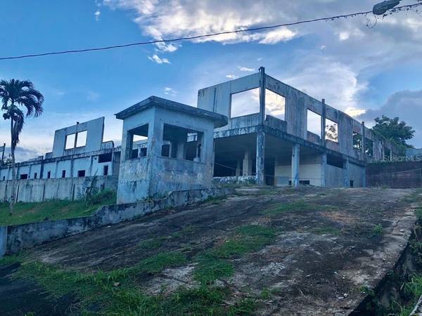 LOT 1 PR 174 KM 22.7 SONADORA WARD, Aguas Buenas, PR 00703