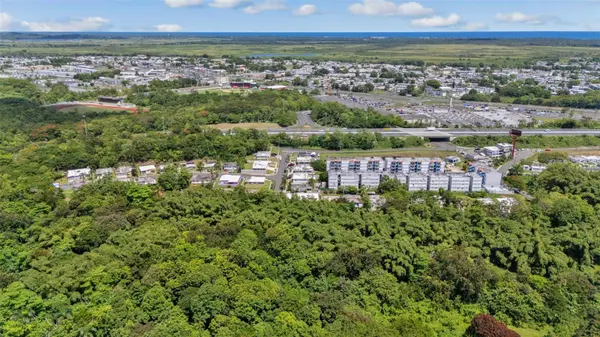 956 BO GUZMAN ABAJO - SECTOR GALATEO, Rio Grande, PR 00745