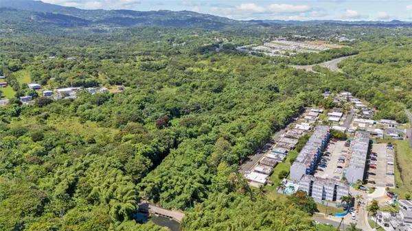 956 BO GUZMAN ABAJO - SECTOR GALATEO, Rio Grande, PR 00745