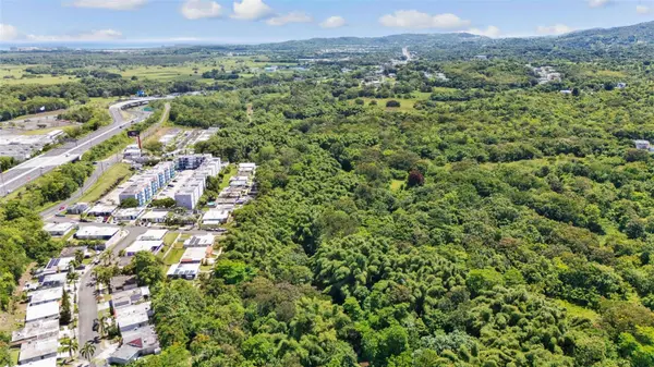 956 BO GUZMAN ABAJO - SECTOR GALATEO, Rio Grande, PR 00745
