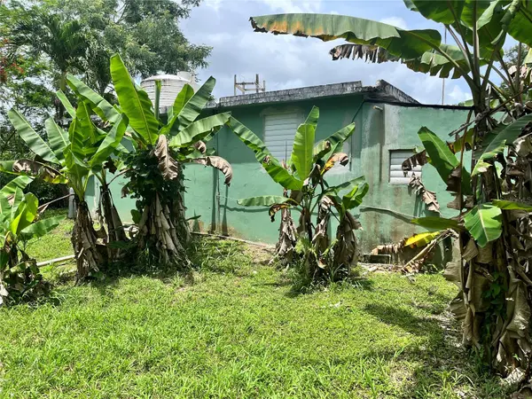 935 CEIBA NORTE, Juncos, PR 00777