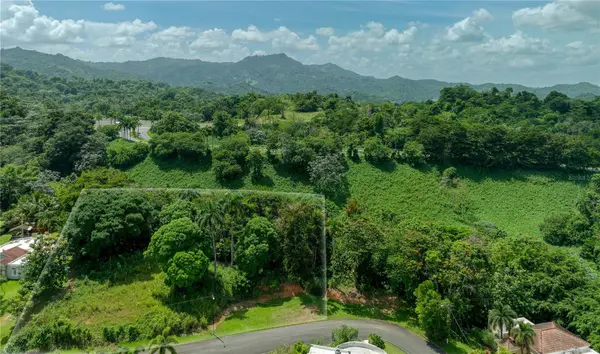 Lot-C42/43 VALLE ESCONDIDO, Guaynabo, PR 00971