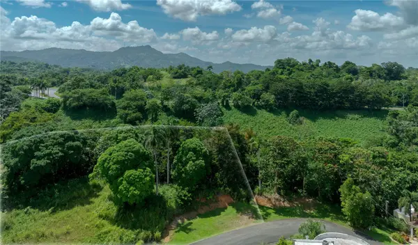 Lot-C42/43 VALLE ESCONDIDO, Guaynabo, PR 00971