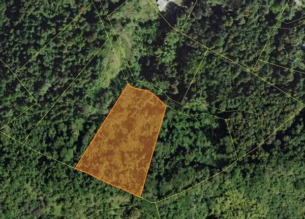 BO MASA DE GURABO CARR 181 KM 13 HM 2 #LOTE 4, Gurabo, PR 00778