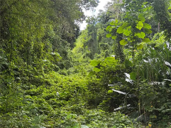 CARR 181 BO MASAS KM 13 HM2 #LOTE 4, Gurabo, PR 00778