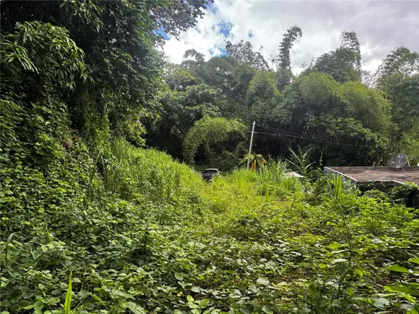 CARR 181 BO MASAS KM 13 HM2 #LOTE 4, Gurabo, PR 00778