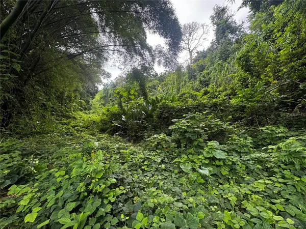 CARR 181 BO MASAS KM 13 HM2 #LOTE 4, Gurabo, PR 00778