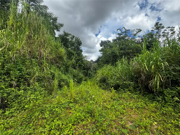CARR 181 BO MASA KM 13 HM 2 #LOTE 5, Gurabo, PR 00778