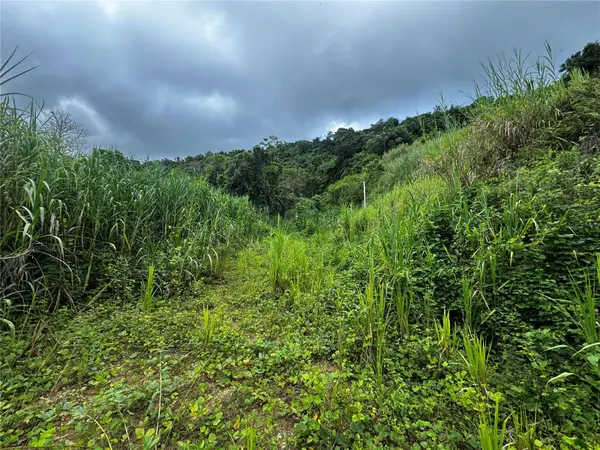CARR 181 BO MASA KM 13 HM 2 #LOTE 5, Gurabo, PR 00778