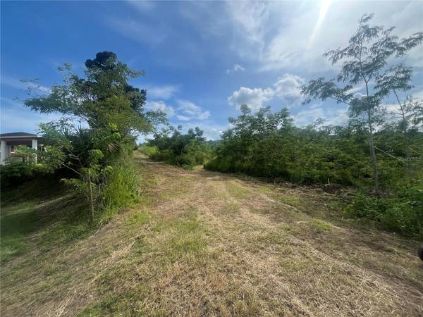 KM HM 17.7 CARR 150, Coamo, PR 00769
