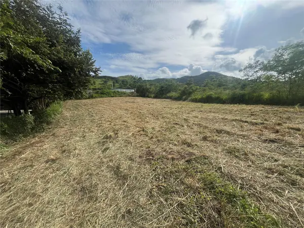 KM HM 17.7 CARR 150, Coamo, PR 00769