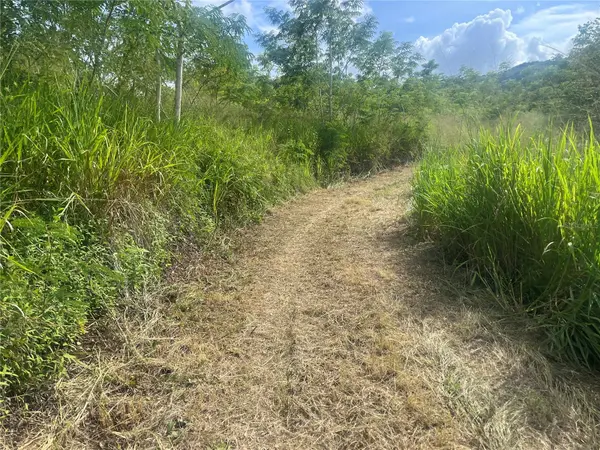 KM HM 17.7 CARR 150, Coamo, PR 00769