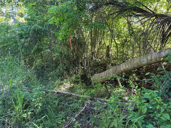 CARR. 413 INTERIOR, Rincon, PR 00677
