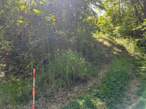 CARR. 413 INTERIOR, Rincon, PR 00677