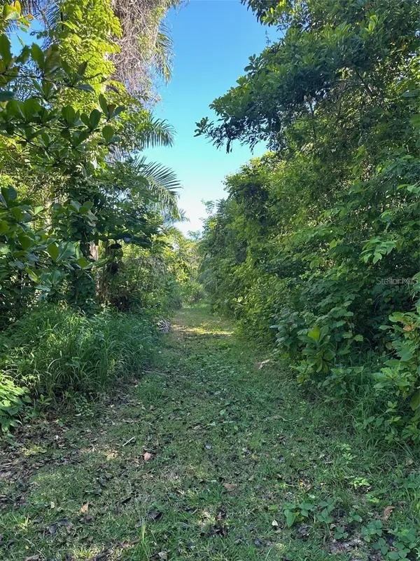 CARR. 413 INTERIOR, Rincon, PR 00677