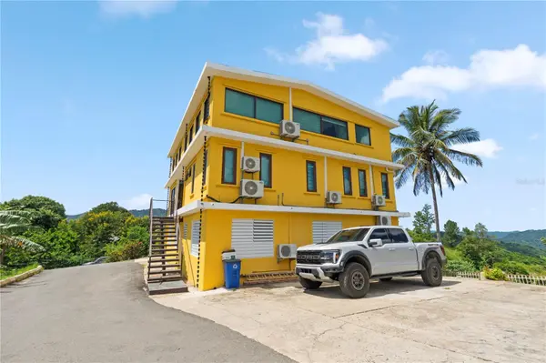Bo. Hoyos Planes CARR. 531 KM HM7, Jayuya, PR 00664
