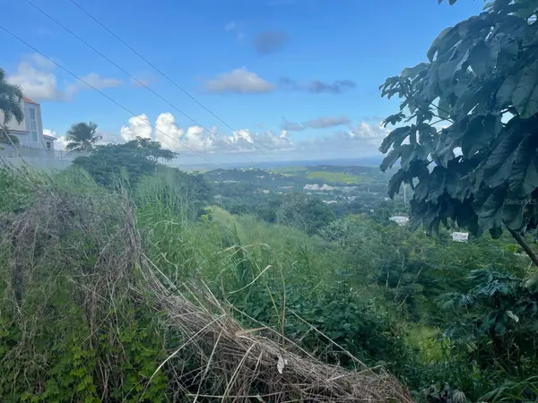 3 CANDELERO #1, Humacao, PR 00791
