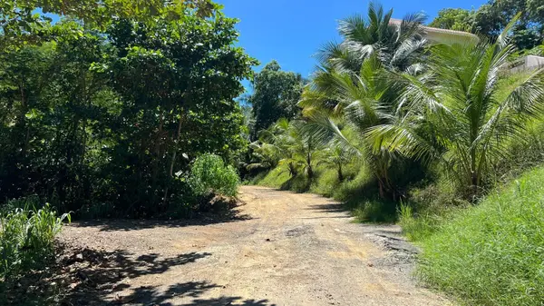 Km 5.9 CARR 413, Rincon, PR 00677