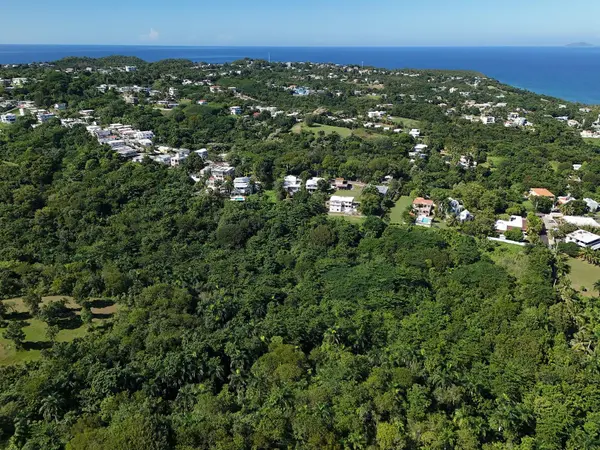 CALLE LAS PALMAS, Rincon, PR 00677