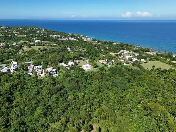 CALLE LAS PALMAS, Rincon, PR 00677