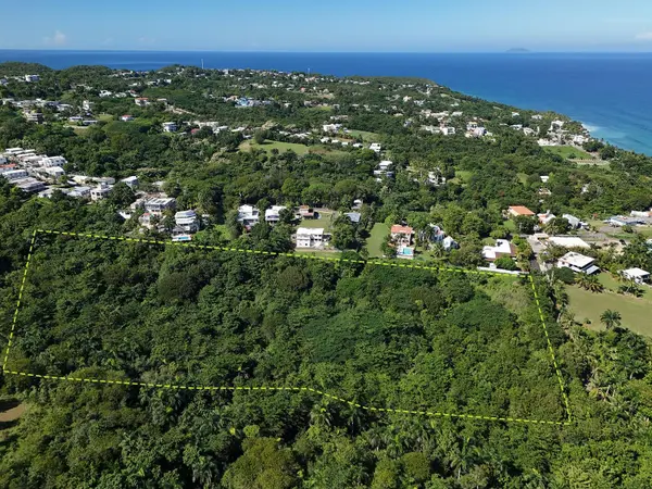 CALLE LAS PALMAS, Rincon, PR 00677