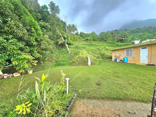 971 971, Naguabo, PR 00718