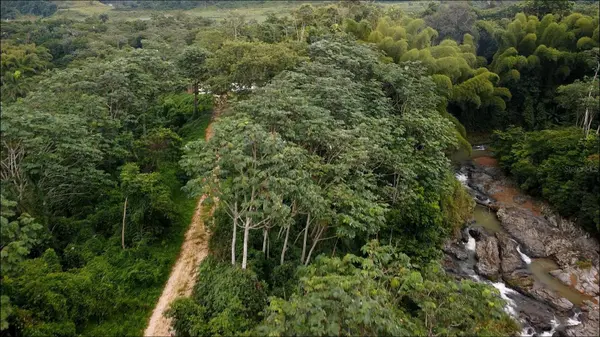 1 1  BO ANGELES, EL CORCHO, Utuado, PR 00641