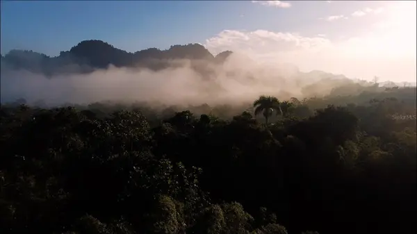 1 1  BO ANGELES, EL CORCHO, Utuado, PR 00641