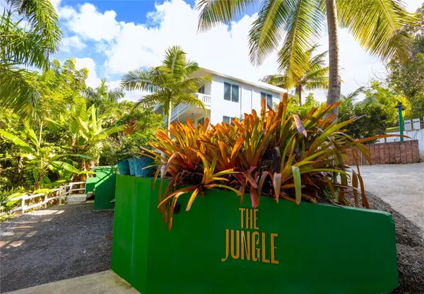 Carr. 413 Int. Km 4 THE JUNGLE, Rincon, PR 00677